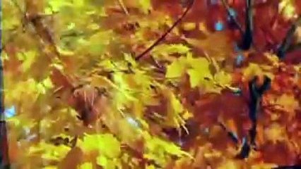 The Twisted Tale of Bloody Mary