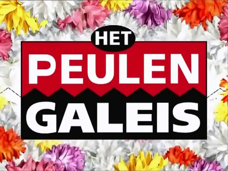 Peulengaleis - Chinees praten