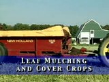 Leaf Mulching and Cover Crops from Vegetable Farmers and their Innovative Cover Cropping Techniques