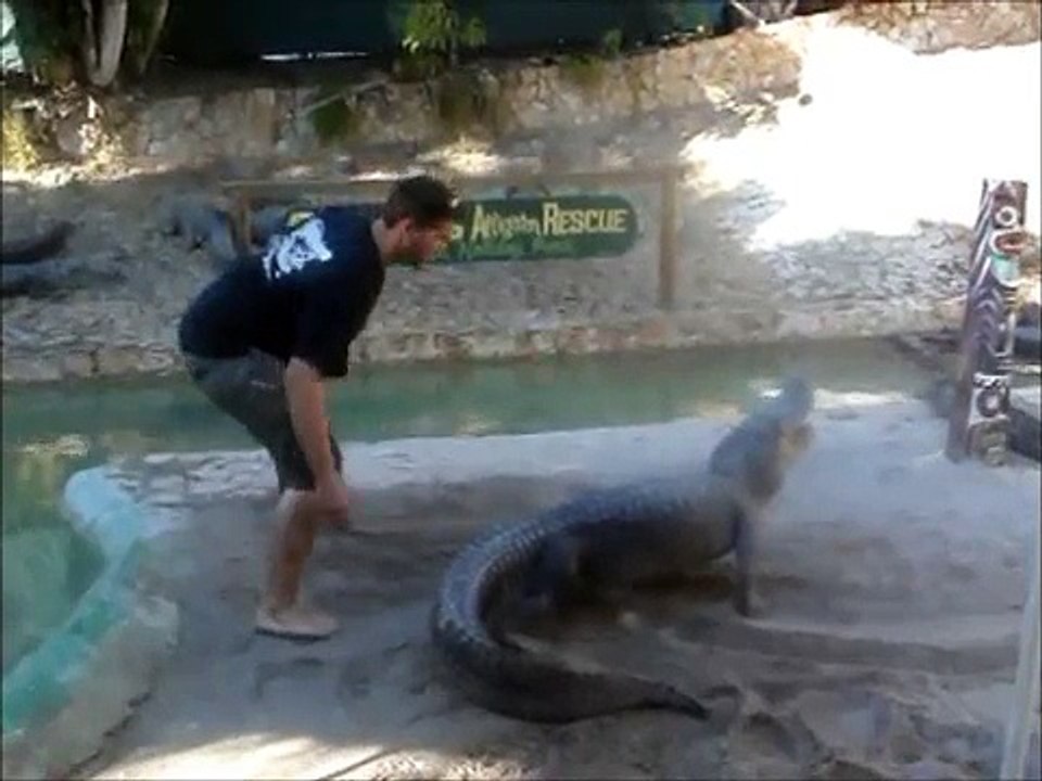 Gator Boys