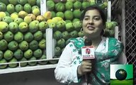 Most Funniest Reporter in Pakistan You Have Ever Seen