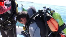 Cascais avança com campanha de arqueologia subaquática | Julho 2014