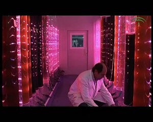 Marine Aquaculture in Andalucia - Quality and Potencial