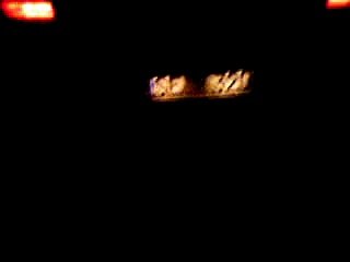 Golf 4 V5 Eisenmann Exhaust