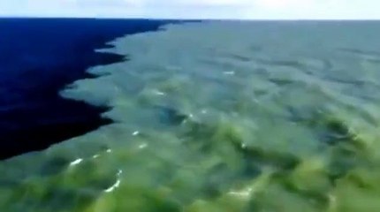 Miracle of Nature in Gulf of Alaska where Two Oceans Meet without mixing with each otherMagic Scene