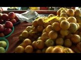 Minuto da Agricultura Familiar: Polpas de frutas