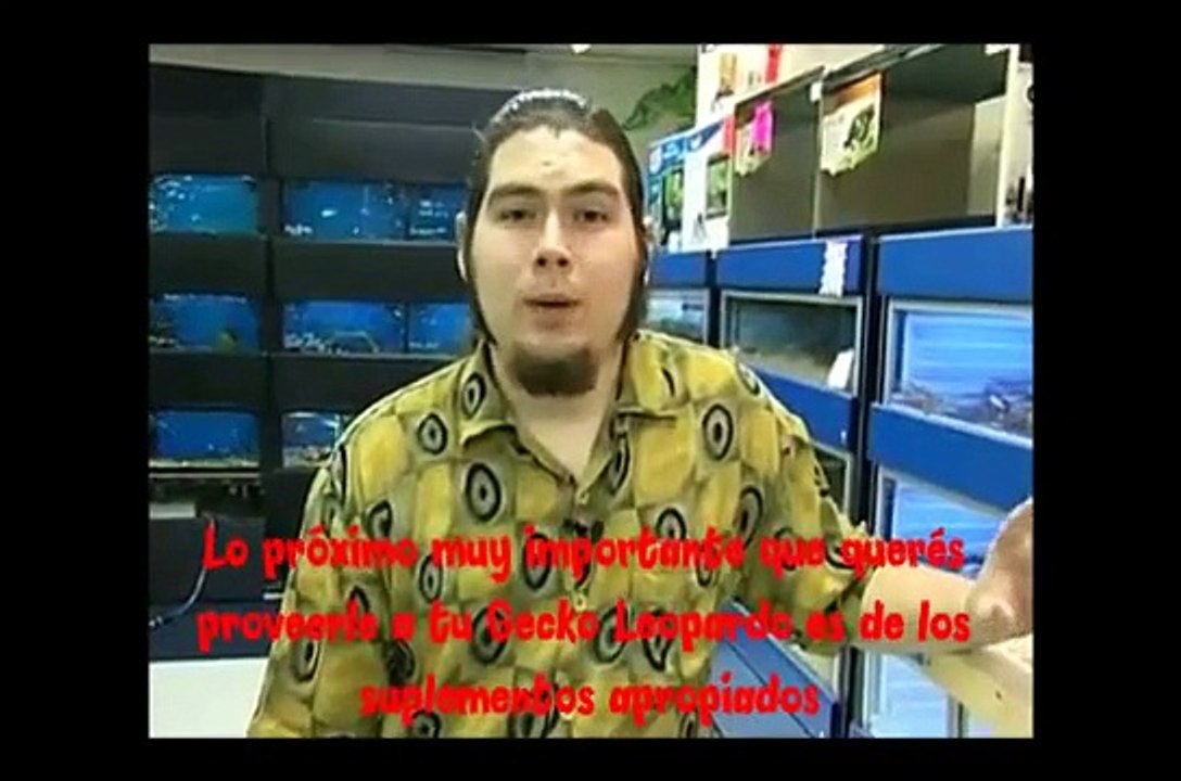 12 tips sobre los Geckos Leopardo (parte 2 - Mascotas Exóticas - La Pampa)