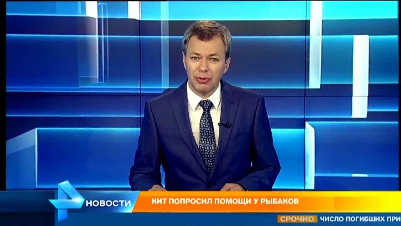 Огромный кит попросил помощи у рыбаков