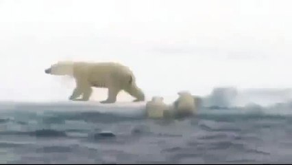 Мама всегда поможет