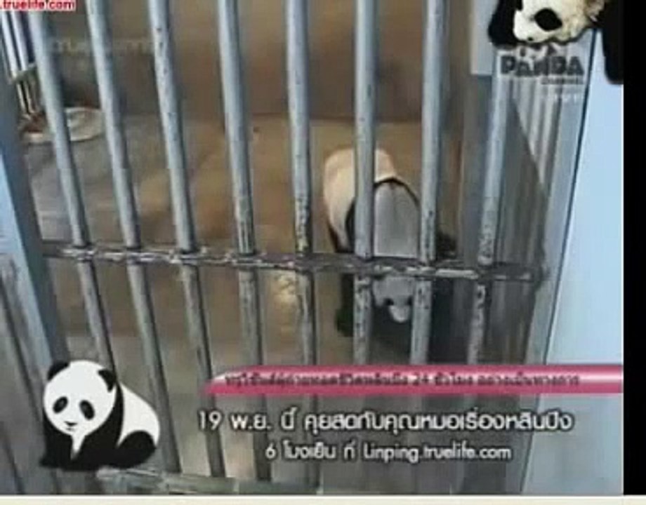 เล่นกับแม่หลินฮุ่ย 14-11-09