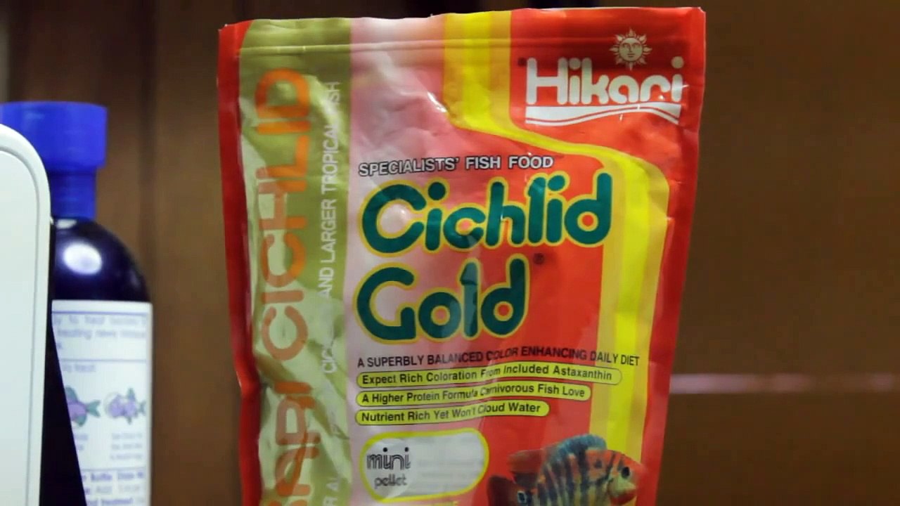 300 Gallon Fish Tank FEEDING!