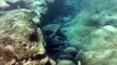 Fuerteventura Jandia Unterwasseraufnahmen (Kodak Playsport Zx3)