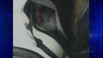 Polícia da Espanha encontra imigrante dentro do motor de um carro