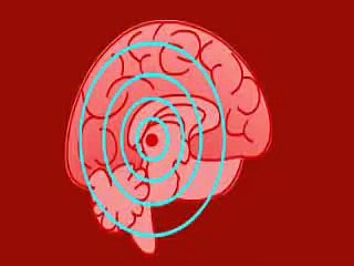 Brain Tv 2 @ Effets de la nicotine