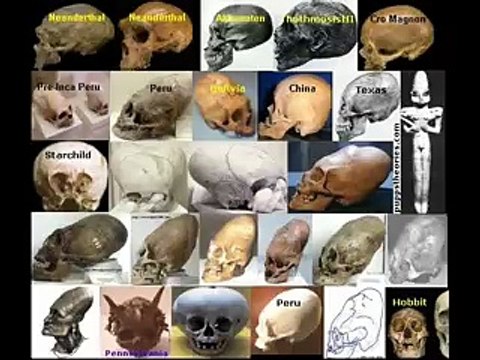 ALIEN EVIDENCE - archeological finds , sightings , pictures