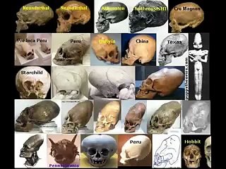 ALIEN EVIDENCE - archeological finds , sightings , pictures