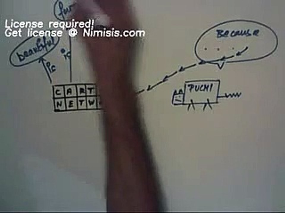 cartoon network xvid