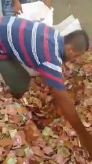 Unbelievable Have you ever seen more money like that? starnge