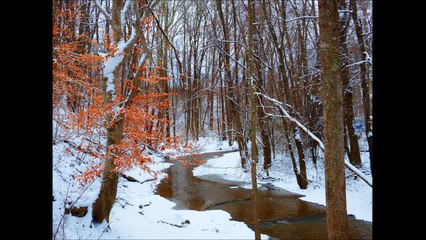 FUJIFILM FINEPIX SL1000...PHOTOS I'VE TAKEN