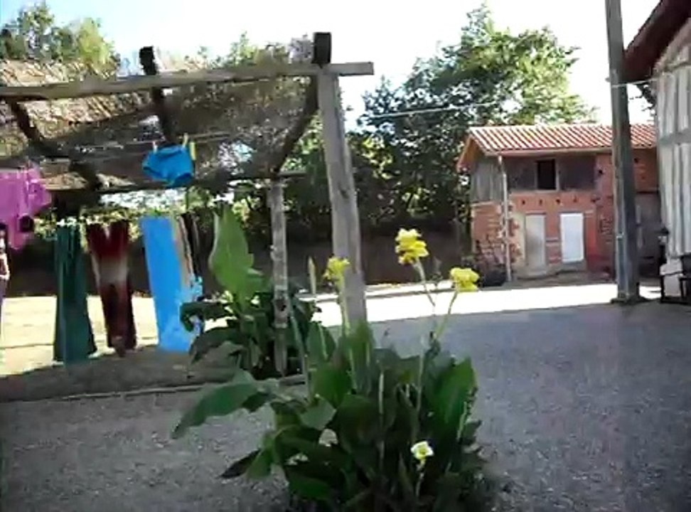 Saut Trampoline /piscine