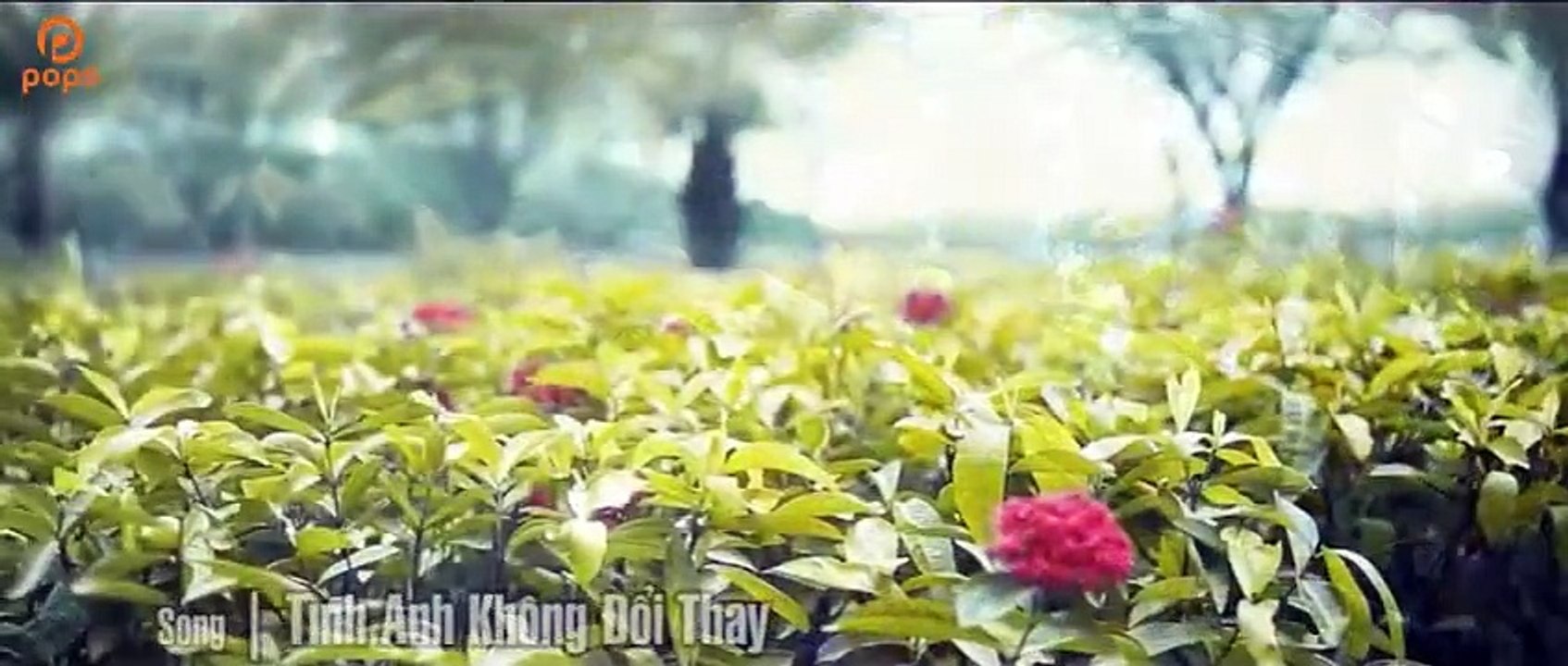 Tình Anh Không Đổi Thay - Du Thiên [Official]