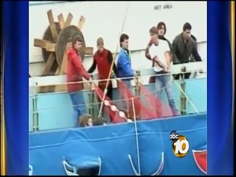 Orlando SeaWorld Trainer Killed - 10News Investigates the History of Killer Whale Attacks