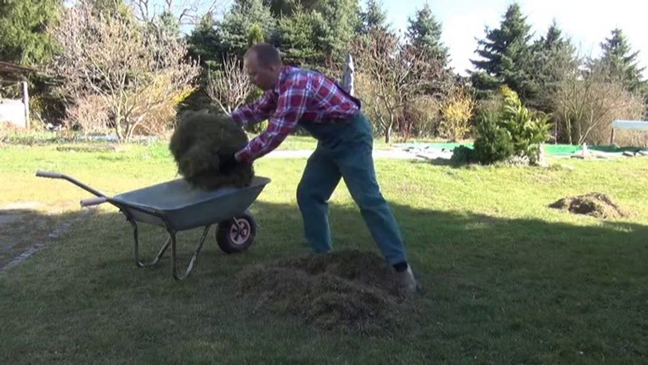 Rasen richtig pflegen