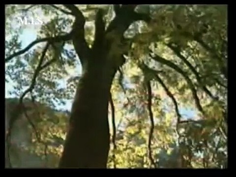 HAMD IN URDU VERY BEAUTYFUL URDU NASHEED HAMAD SWEET