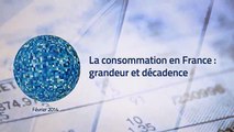 Le graphique, Xerfi Canal La consommation en France : grandeur et décadence