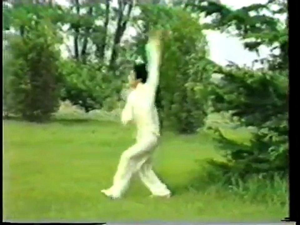 中国武術　甲組規定長拳