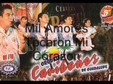 Mil Amores 2009 - Caribeños De Guadalupe