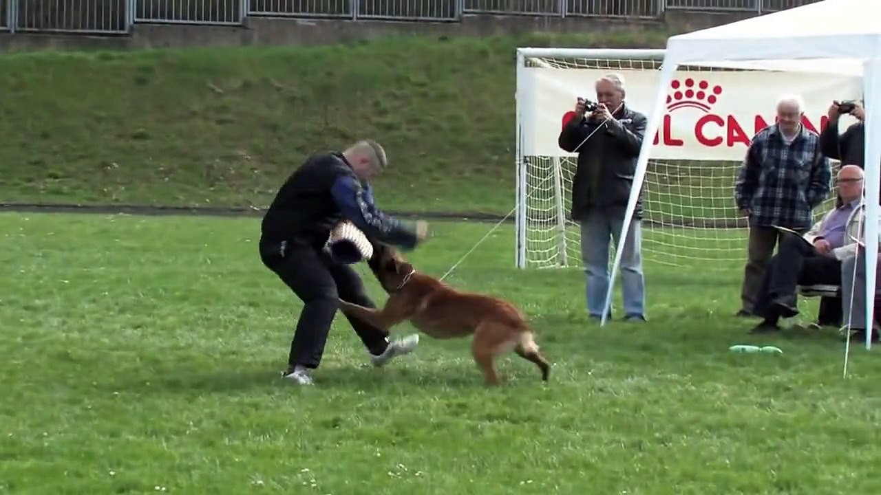 Tart Mělnik-2013-kontrolák