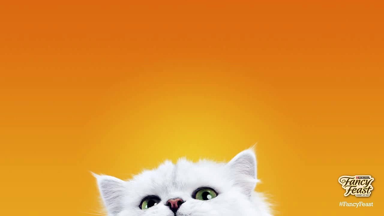 Share your love of cheese with Fancy Feast® Delights With Cheddar