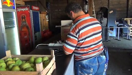 Migrants et réseaux de passeurs