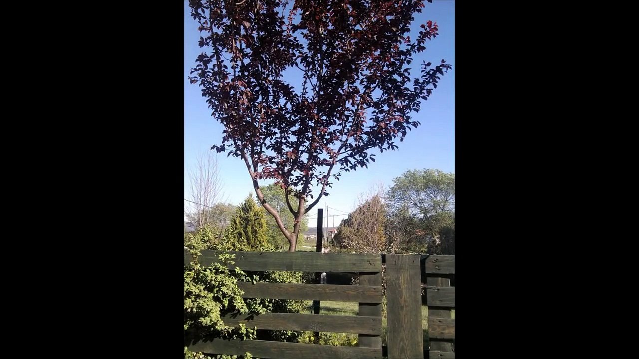 Μοναδικές κατασκευές από παλέτες