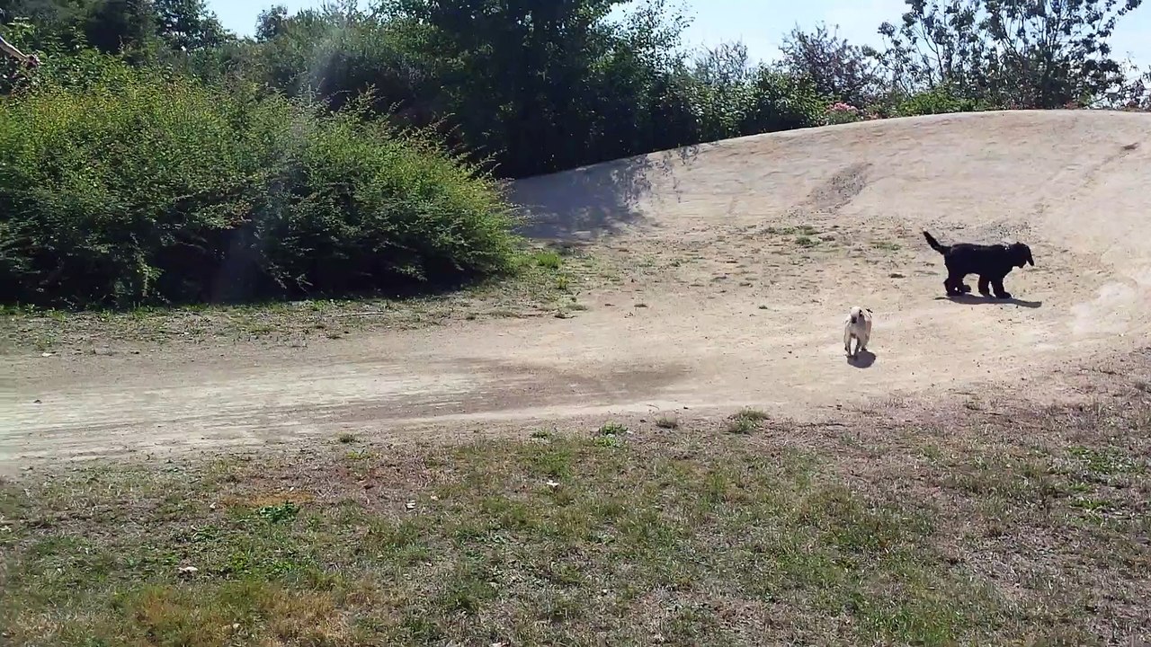 20150820_123341