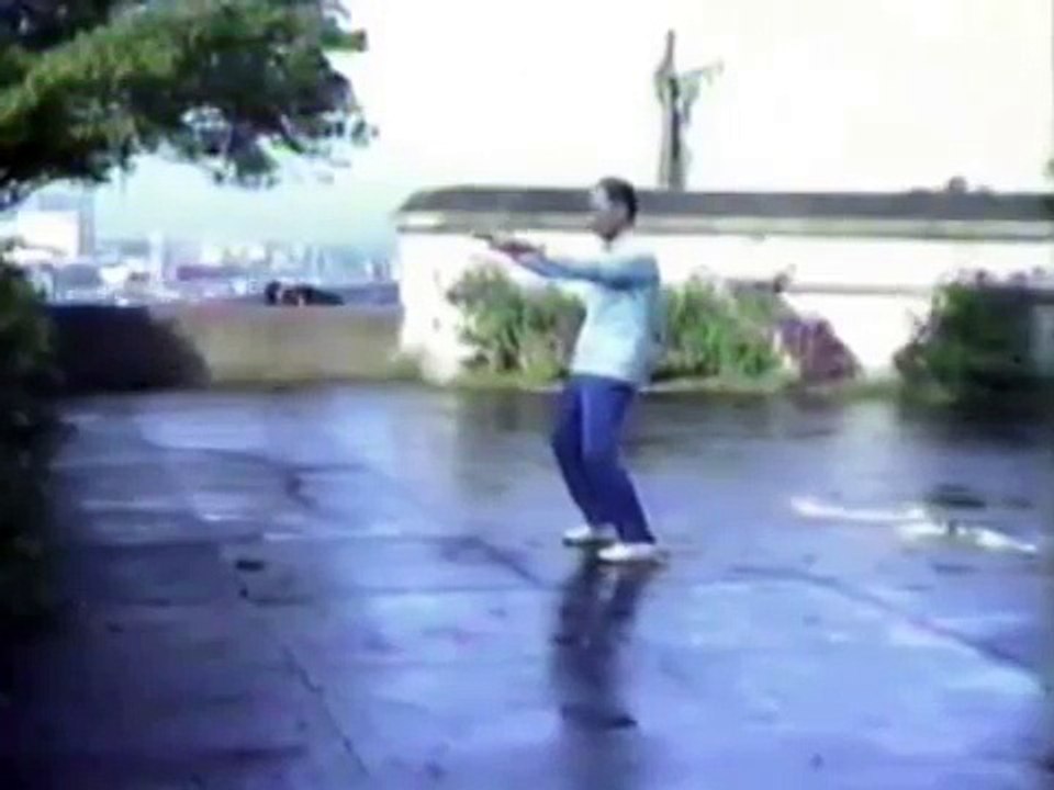 TAICHI Wang Yen nien 王延年