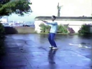 TAICHI Wang Yen nien 王延年