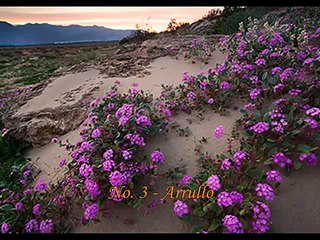 Alberto Ginastera - Piezas Infantiles (1934)