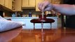 Magnetic Levitation- Fun With Magnets