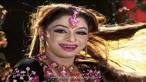 NIDA CHAUDHARY PUNJABI MUJRA - PAKISTANI MUJRA DANCE 2014