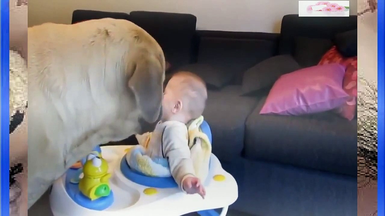 Baby and Dog play || Baby and Dog funny
