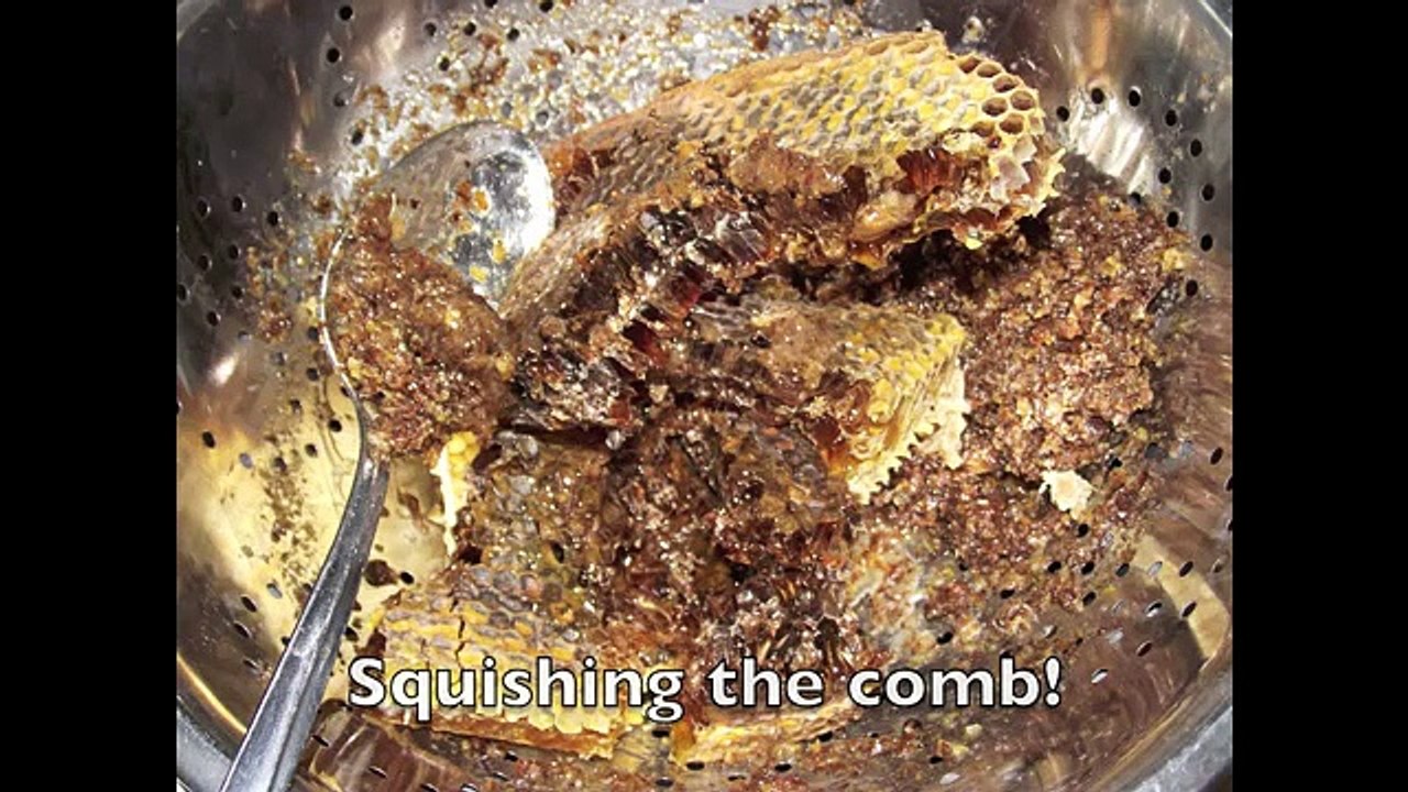 Feeding honey to bees in a Top Bar Hive in winter.