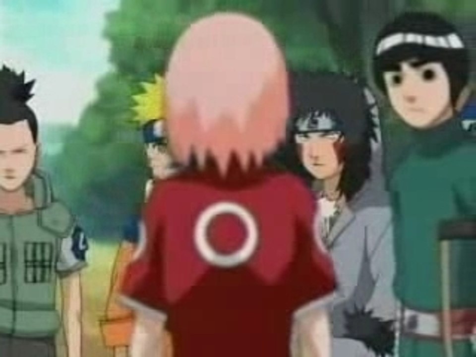 Naruto System of a down AMV