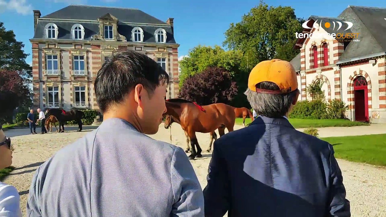 A Saint-Lô, le Cob Normand séduit la Corée du Sud