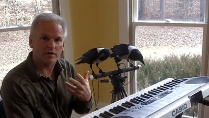 Mac and Moe playing piano.MOV