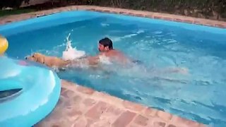 Golden Retriever -Carpo Nadando