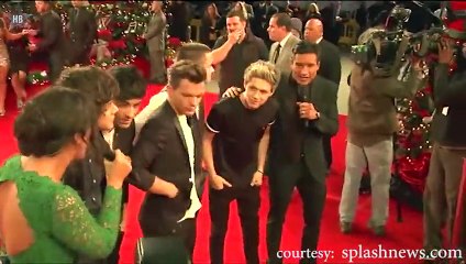 What Makes You Beautiful and Fall In Love With One Direction