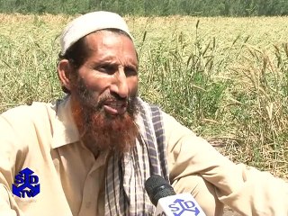 SDPI Report: سانحہ پیشاور