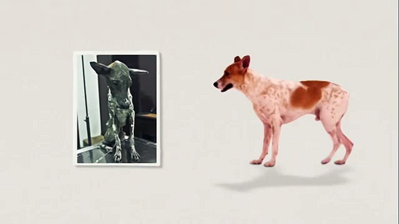 CARA Welfare Philippines | Same dog, different owner (TV Commercial)